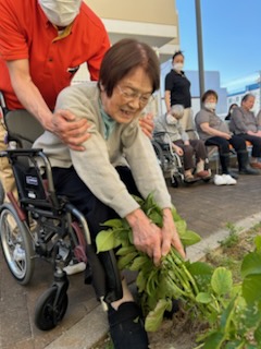 画像の説明