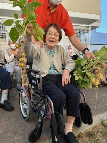 画像の説明
