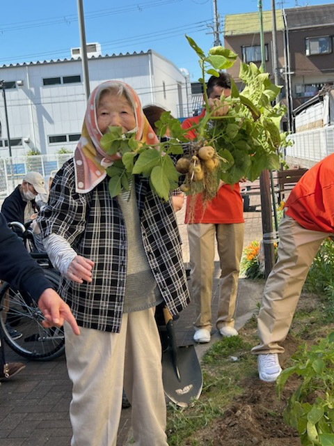画像の説明